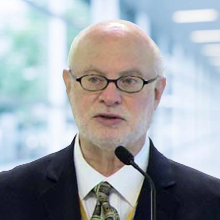 Professor Charles J Malemud