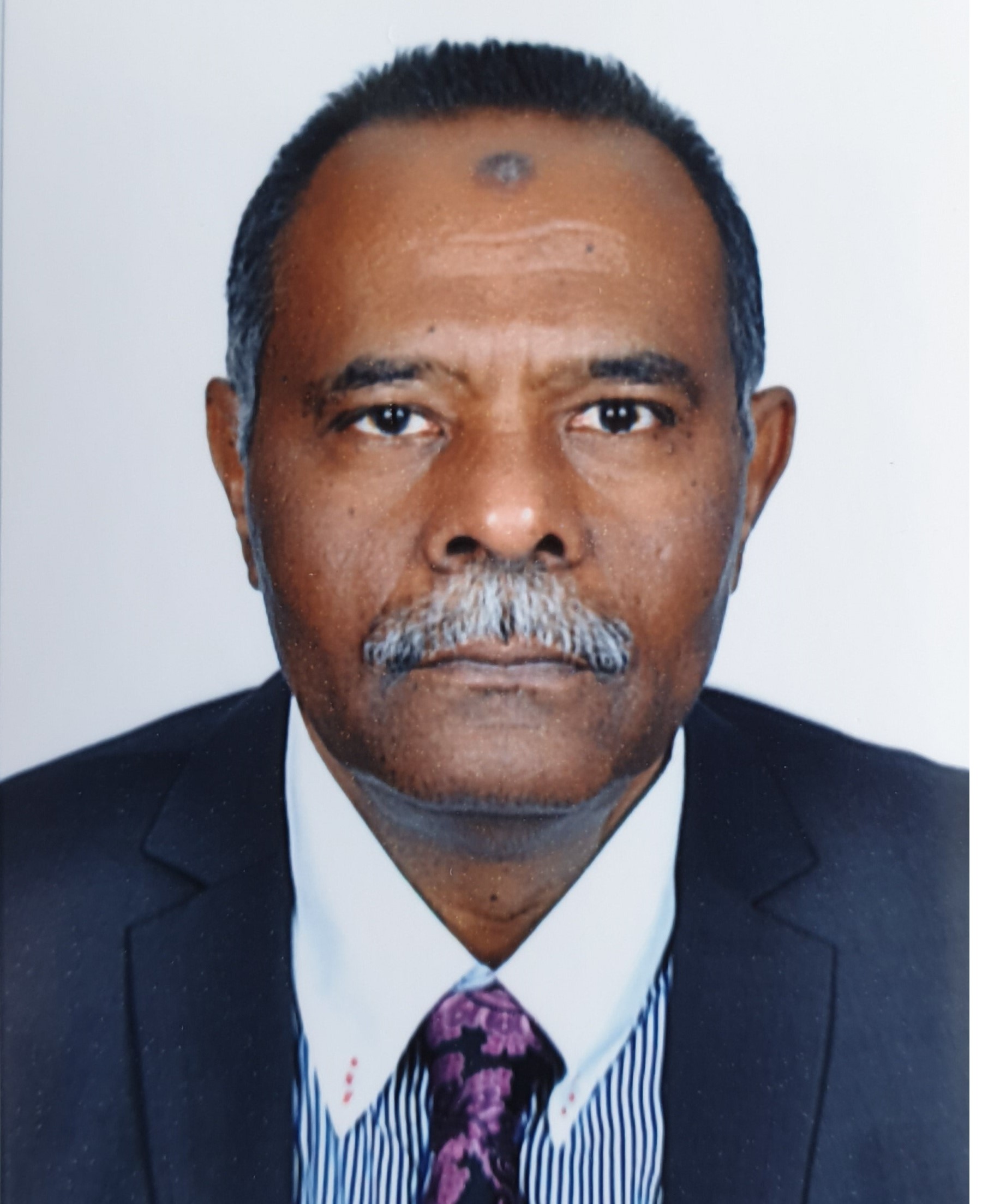  Prof. Elwalid Fadul Nasir