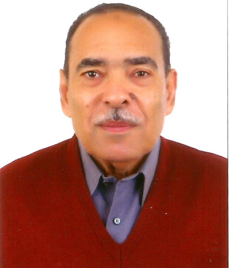 Prof. Mohamed Zaki 