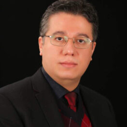 Prof. Dr Alireza Heidari