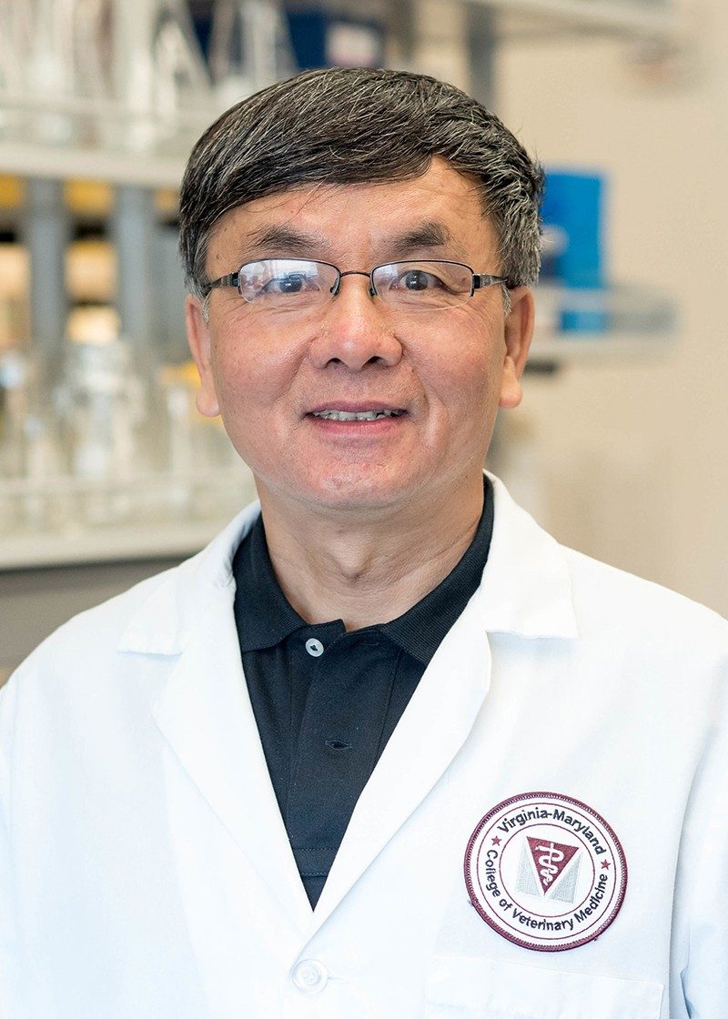 Assoc. Professor Jia Qiang He